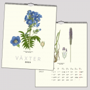 Kalender Växter 2023